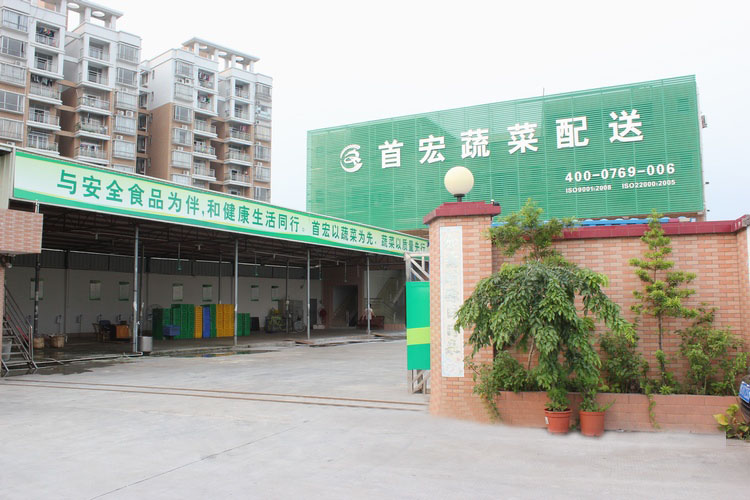 肇庆蔬菜配送